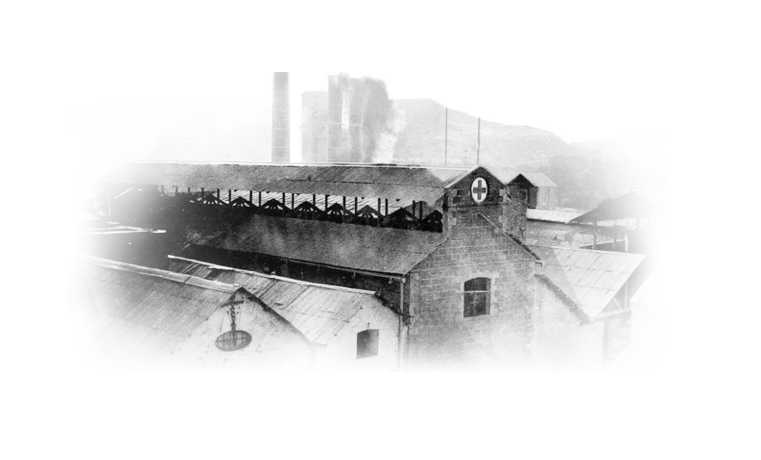 1881